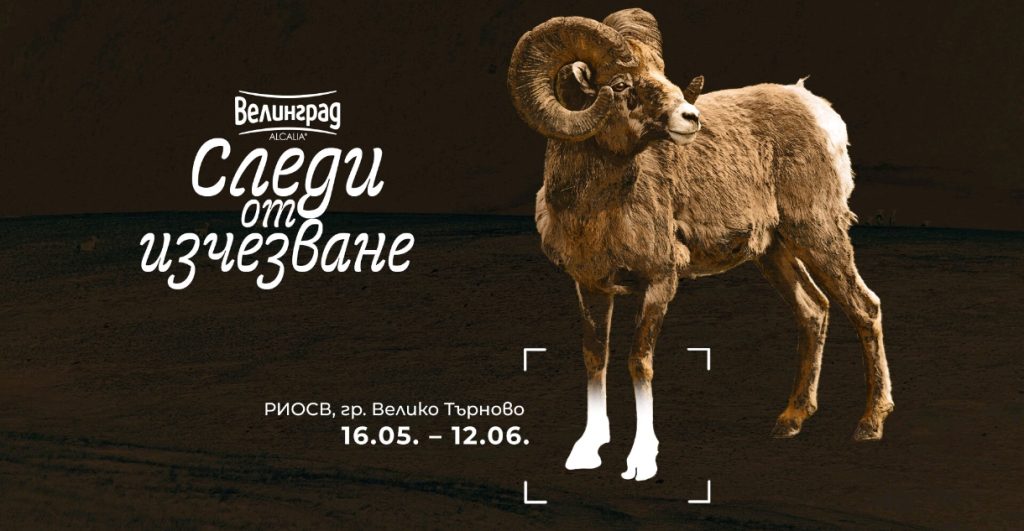 Kампанията “Следи от изчезване” продължава и през 2025 г. с вълнуваща изложба във Велико Търново