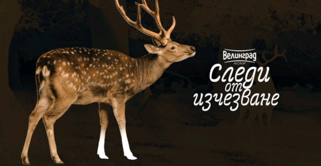 Еко Музей Русе става домакин на пътуващата изложба „Следи от изчезване“