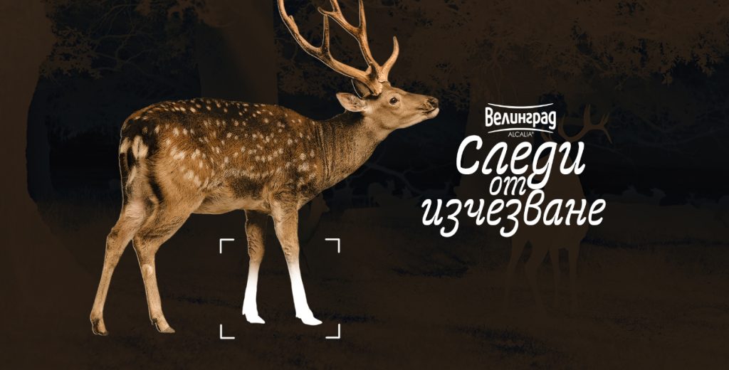 Пловдив е домакин на пътуващата изложба „Следи от изчезване“