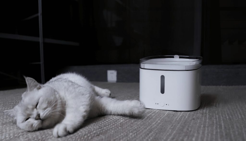 Технологии за щастливи любимци – изкуството да се грижим дори от разстояние